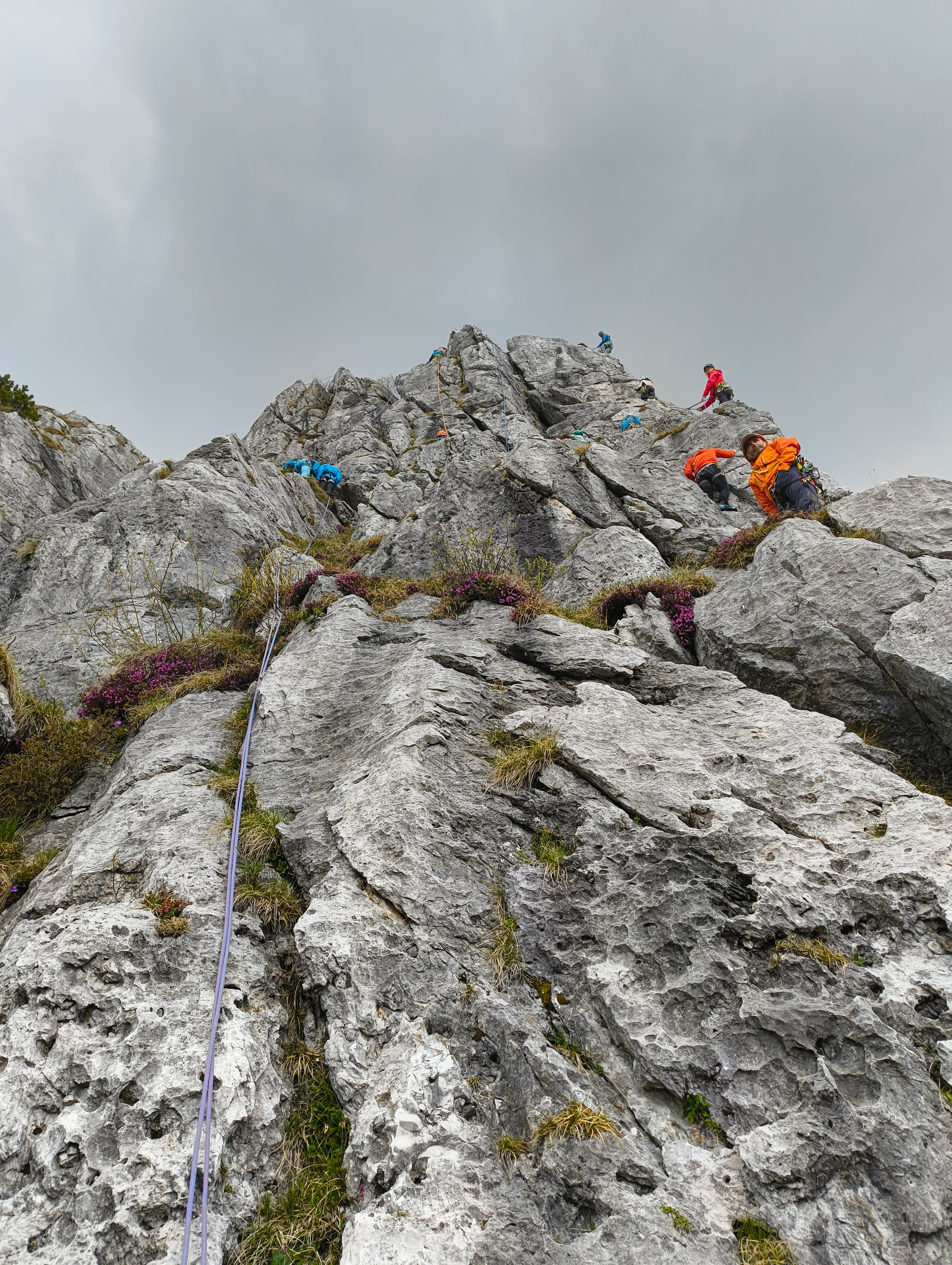 Foto n° 1 del trekking Cresta Ongania